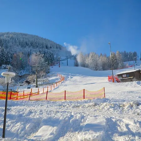 Holiday home Skilift-seeblick By Alpen *